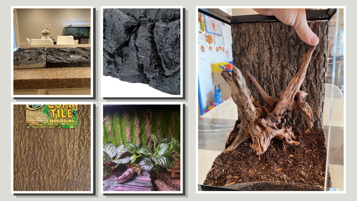9 Best Terrarium Backgrounds for Reptile Enclosures
