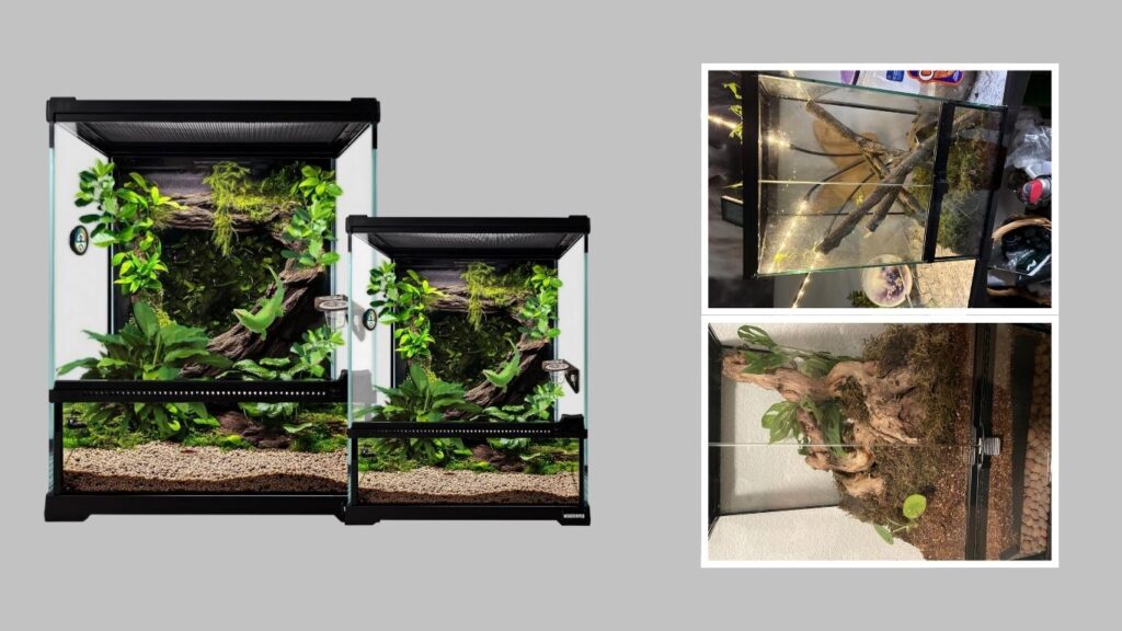 4. Waazoorep Amphibian Terrarium Enclosure