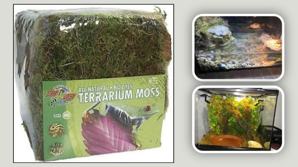4. Zoo Med Terrarium Moss for 30–40 Gallon Enclosures