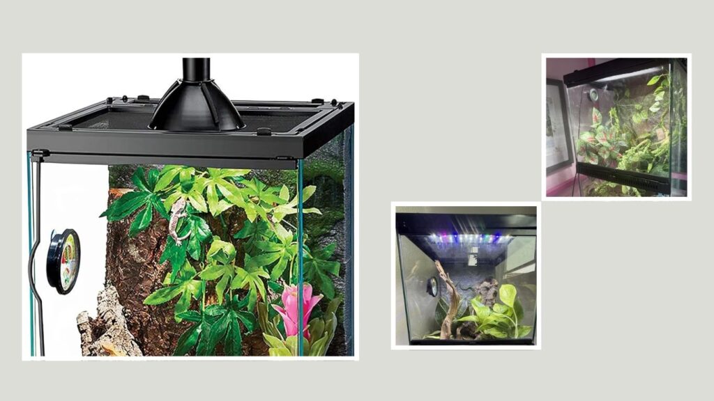 Zilla Tropical Reptile Vertical Starter Kit