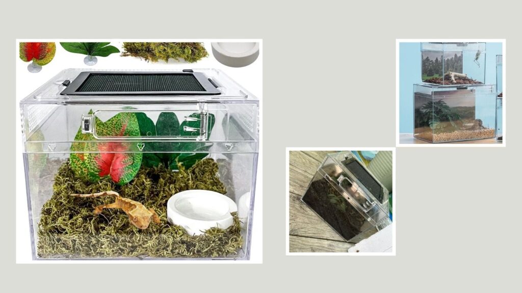Zilla Tropical Reptile Vertical Starter Kit