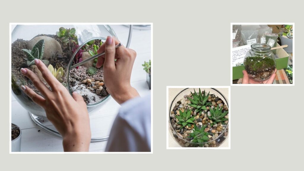 DUSPRO DIY Terrarium Starter Kit