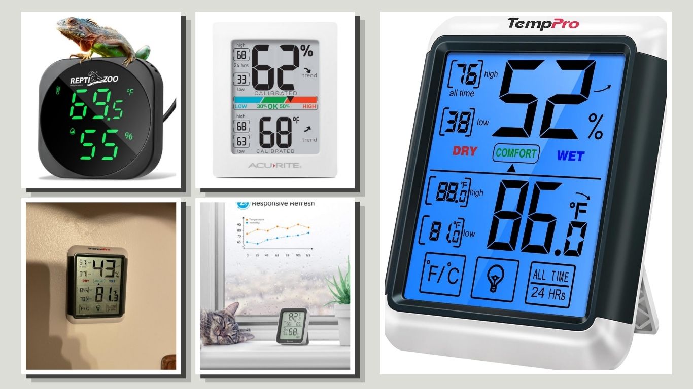 6 Best Digital Thermometer Hygrometers for Home and Terrariums