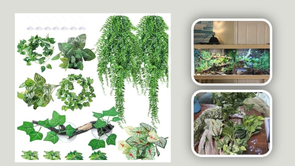 CousDUoBe Reptile Plant Set – Best Multi-Piece Terrarium Kit