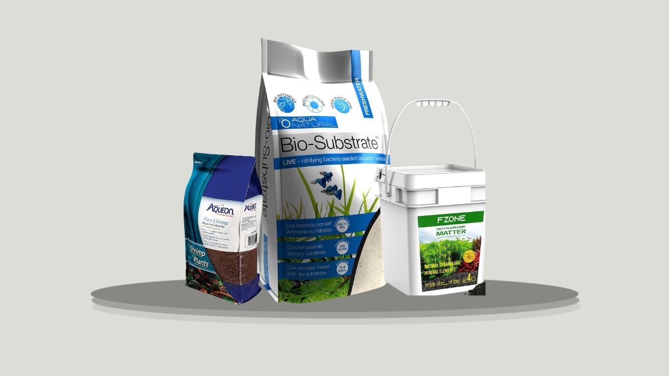8 Best Substrates for Planted Tanks for Healthy Growth