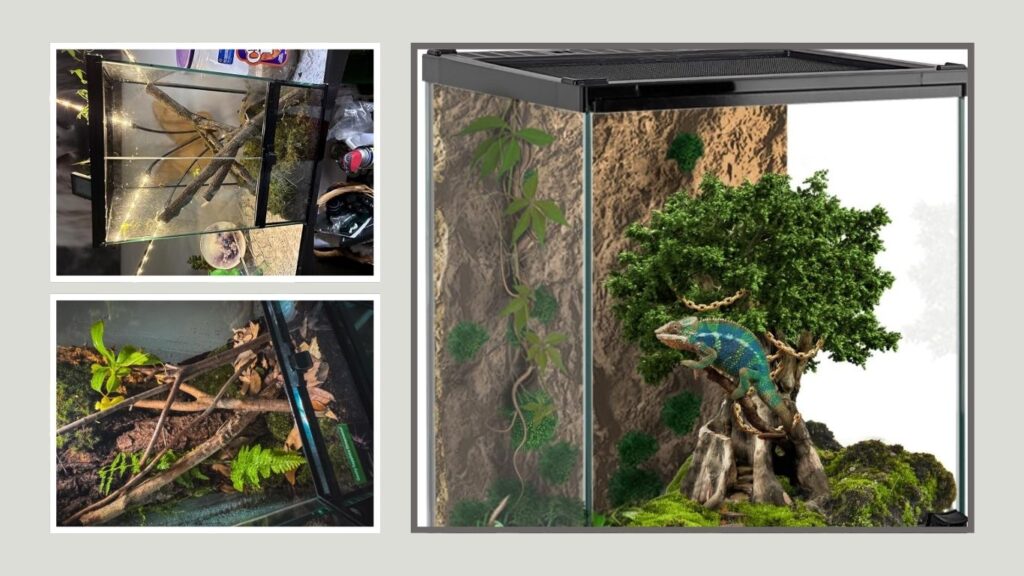 Waazoorep Mini Glass Terrarium – Best for Small Frogs