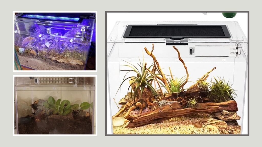 Reptile Growth 12 × 7 × 9 Terrarium – Best Lightweight Tank