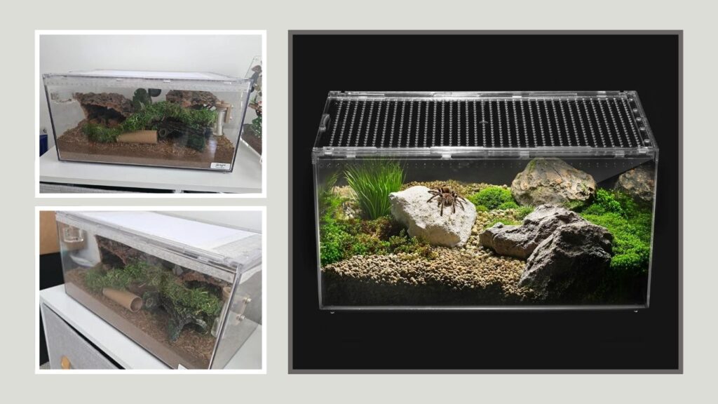 Reptile Growth 12 × 7 × 9 Terrarium – Best Lightweight Tank