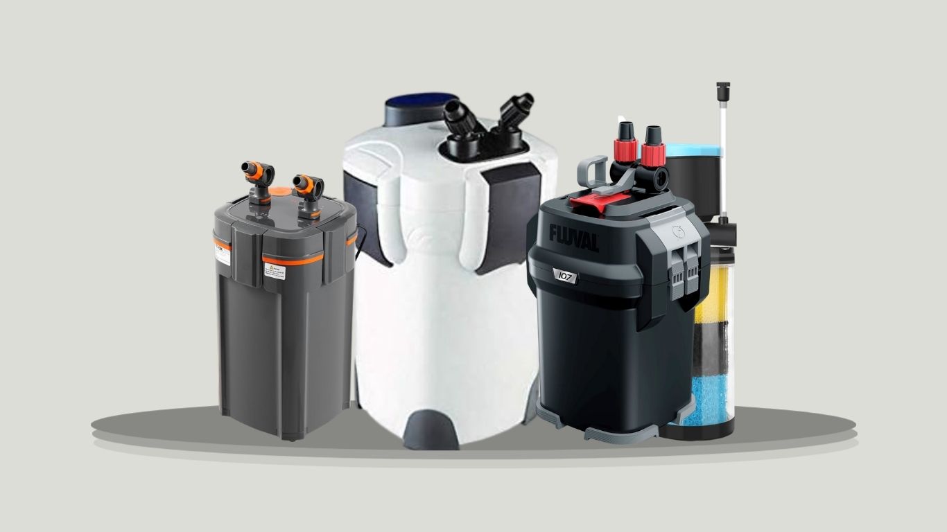 9 Best Aquarium Canister Filters for Powerful Filtration