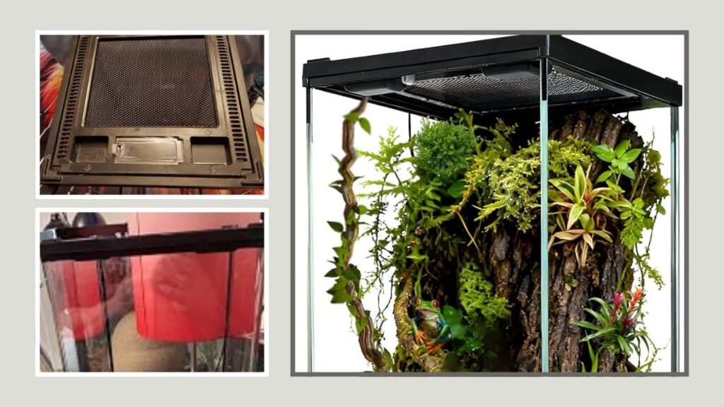 Waazoorep 8 × 8 × 18 Vertical Terrarium – Best for Tiny Tree Frogs