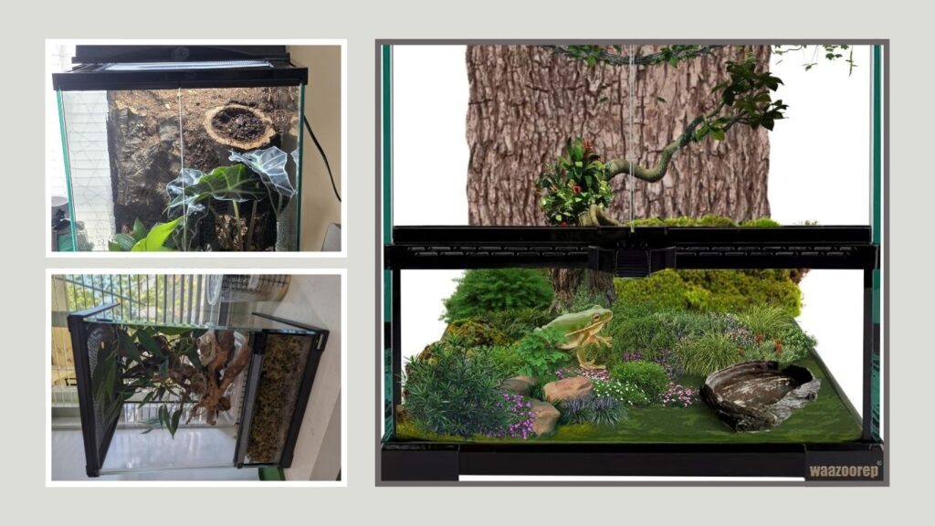 6. Waazoorep 11-Gallon Vertical Terrarium – Best Balanced Tree Frog Tank
