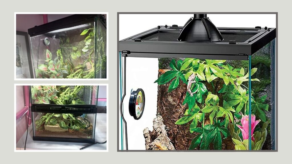 Zilla Tropical Vertical Starter Kit – Best Complete Frog Tank Kit