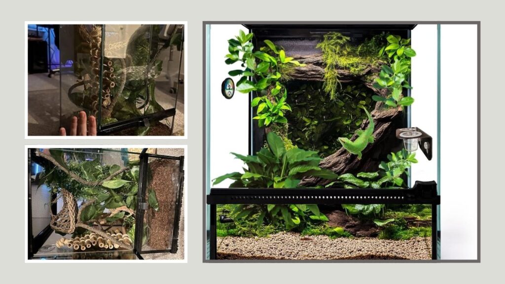 Waazoorep Mini Amphibian Terrarium – Best for Compact Displays