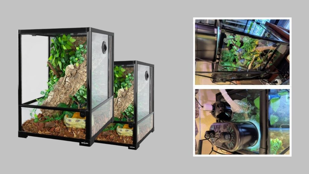 6. REPTI ZOO Rainforest Terrarium