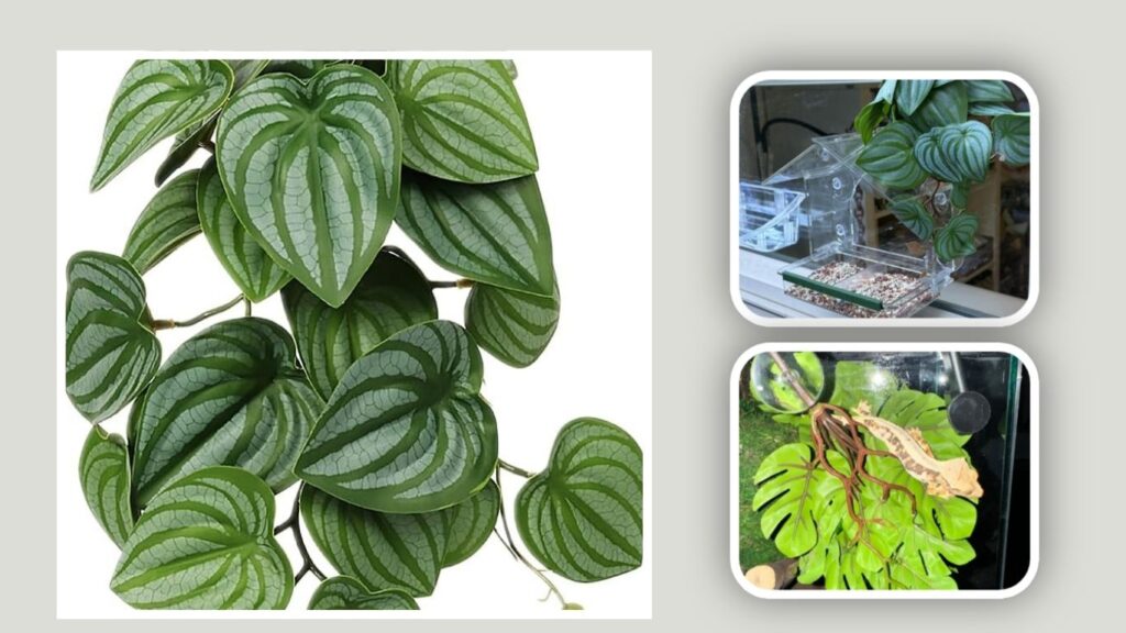WOLEDOE Artificial Calathea Plant – Best Broad-Leaf Cover