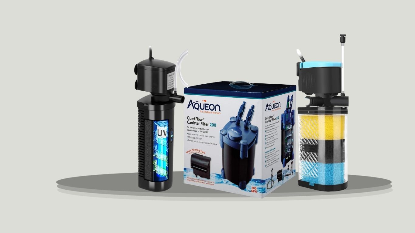16 Best Aquarium Filters for Clean and Healthy Fish Tanks