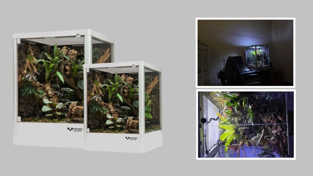 7. ADVINCI Rainforest Terrarium Enclosure