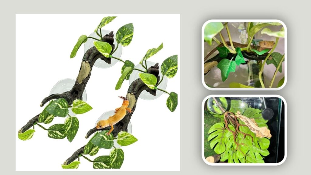  Fhiny Resin Climbing Branches – Best Plant-and-Branch Combo