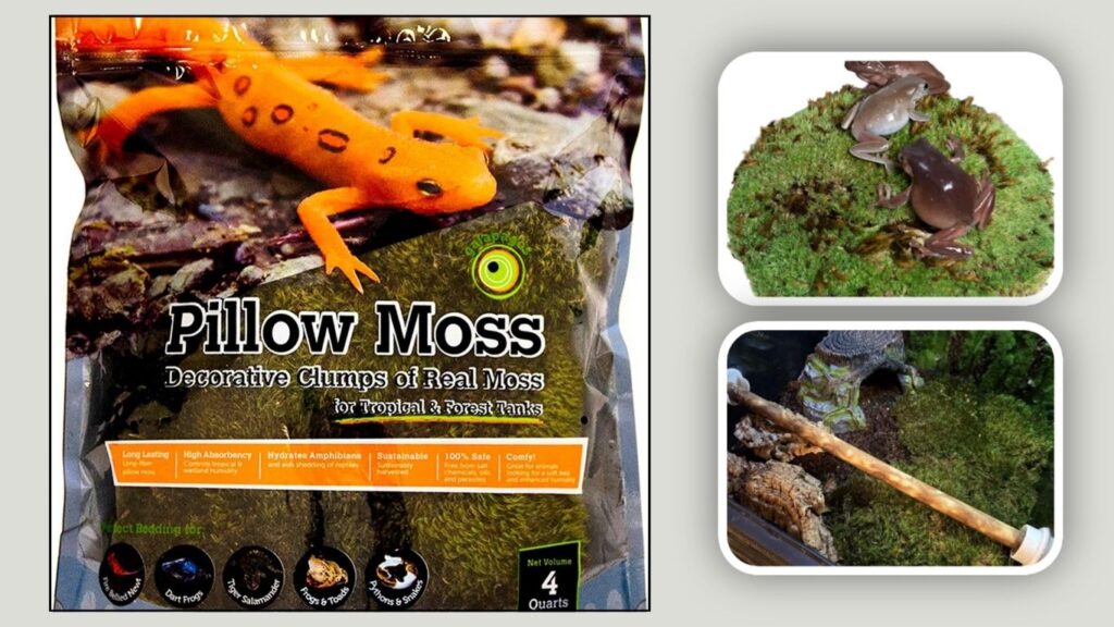 Galápagos Natural Pillow Moss Clumps