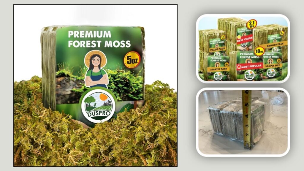 DUSPRO Forest Moss for Terrariums & Plants