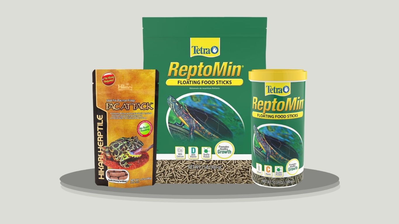 7 Best Aquatic Frog Foods for Healthy Growth and Nutrition