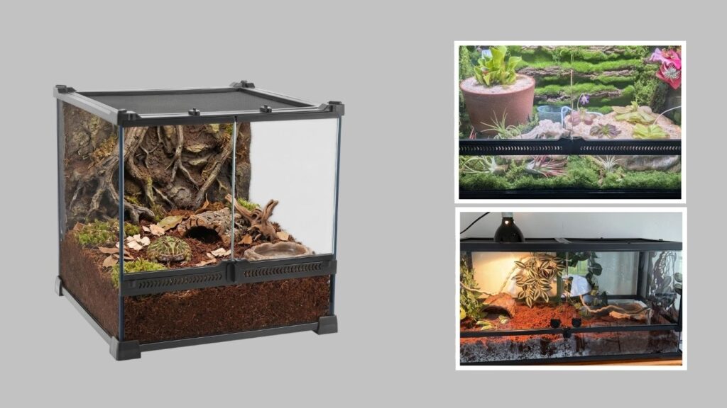 9. NEPTONION Double-Door Amphibian Terrarium