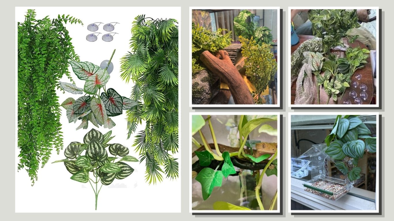 8 Best Frog Terrarium Plants for a Natural-Looking Habitat
