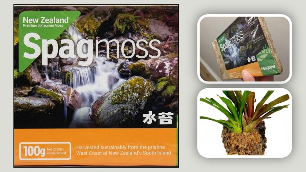 9. Besgrow New Zealand Sphagnum Moss