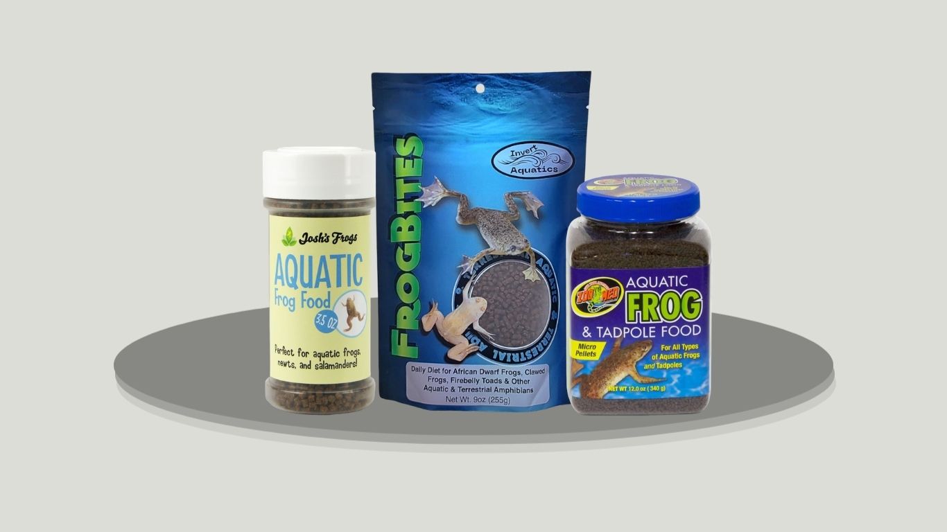 7 Best Aquatic Frog Foods for Healthy Growth and Nutrition